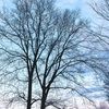 lttye22